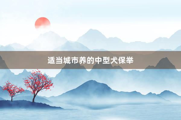 适当城市养的中型犬保举