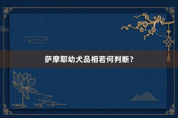 萨摩耶幼犬品相若何判断？